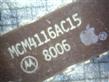 MOTOROLA