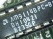 AMD